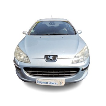 PEUGEOT 407 (6D_)