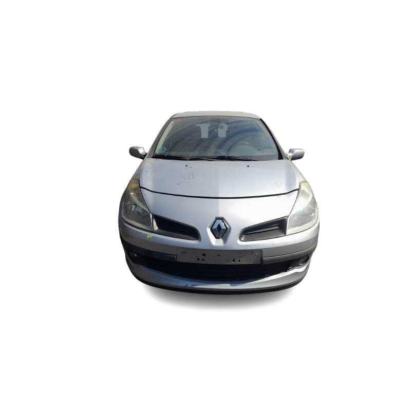 RENAULT CLIO III (BR0/1, CR0/1) - imagen 6
