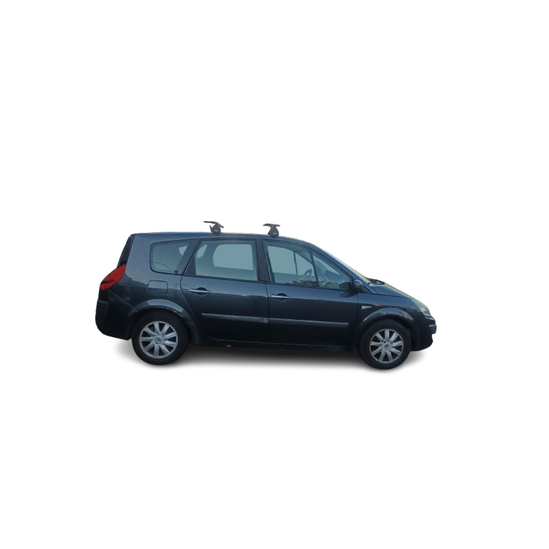 RENAULT GRAND SCÉNIC II (JM0/1_) - imagen 1