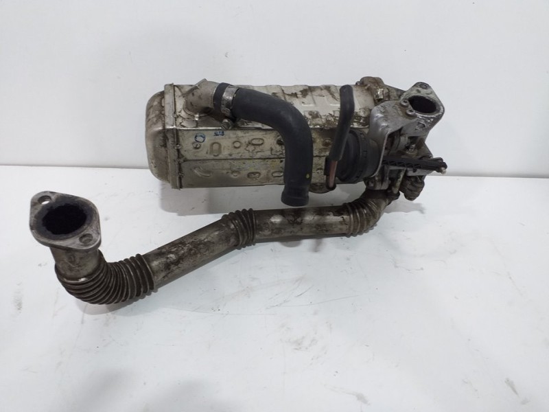 Recambio de refrigerador de egr para ssangyong rodius xdi limited referencia OEM IAM   