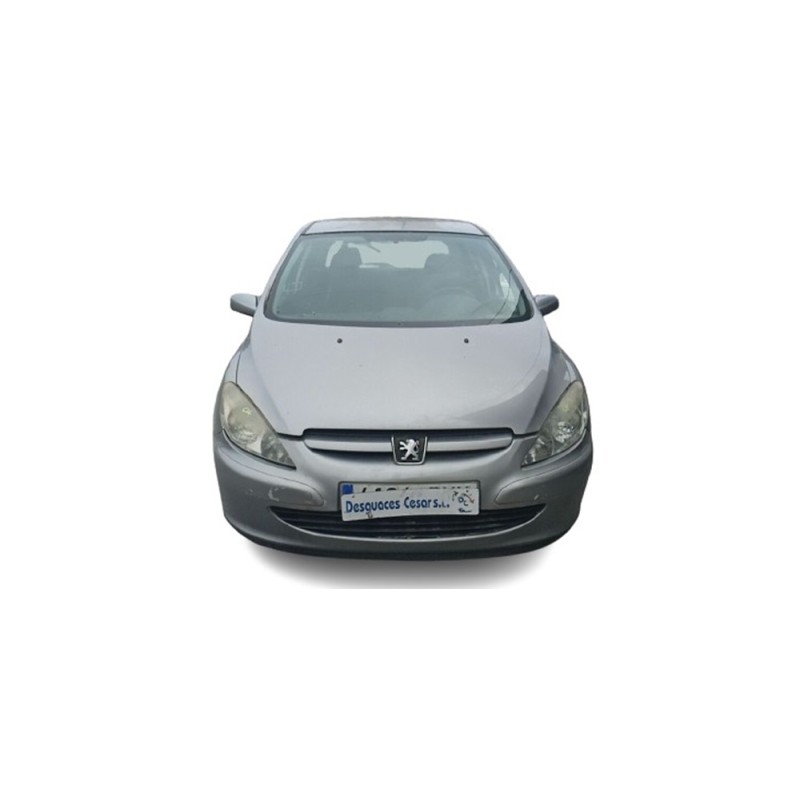 PEUGEOT 307 (3A/C) - imagen 1
