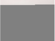 Recambio de amortiguadores maletero / porton para peugeot 206 berlina xs referencia OEM IAM   