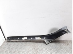 Recambio de molduras delanteras para renault scenic iii grand dynamique referencia OEM IAM  CREMA  2