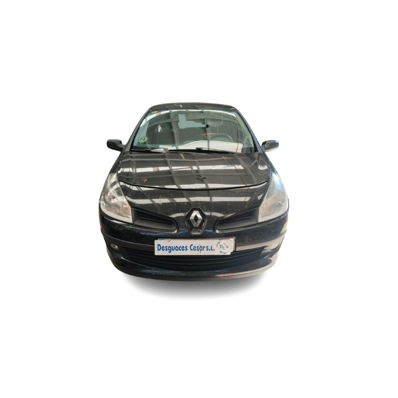 RENAULT CLIO III (BR0/1, CR0/1) - imagen 1