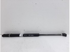 Recambio de amortiguadores maletero / porton para ford fusion (cbk) newport referencia OEM IAM 2N11N406A10AD