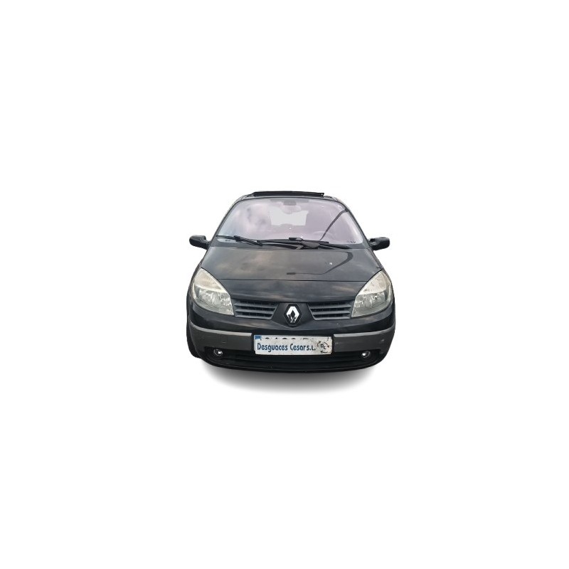RENAULT GRAND SCÉNIC II (JM0/1_) - imagen 1