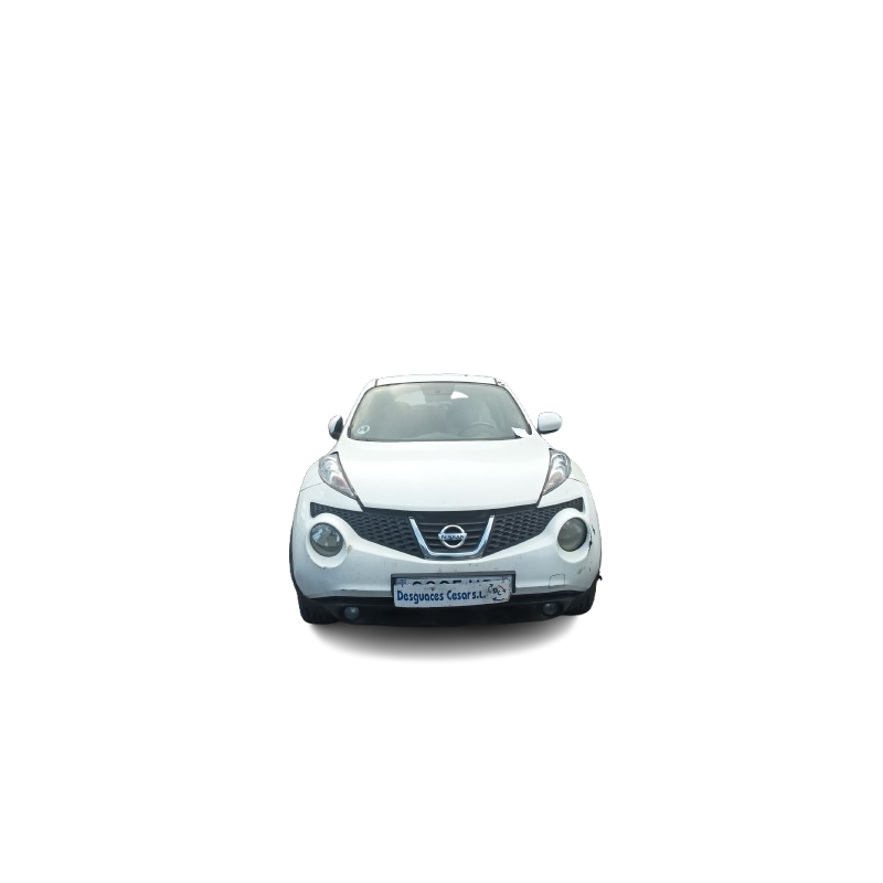 NISSAN JUKE (F15) - imagen 1