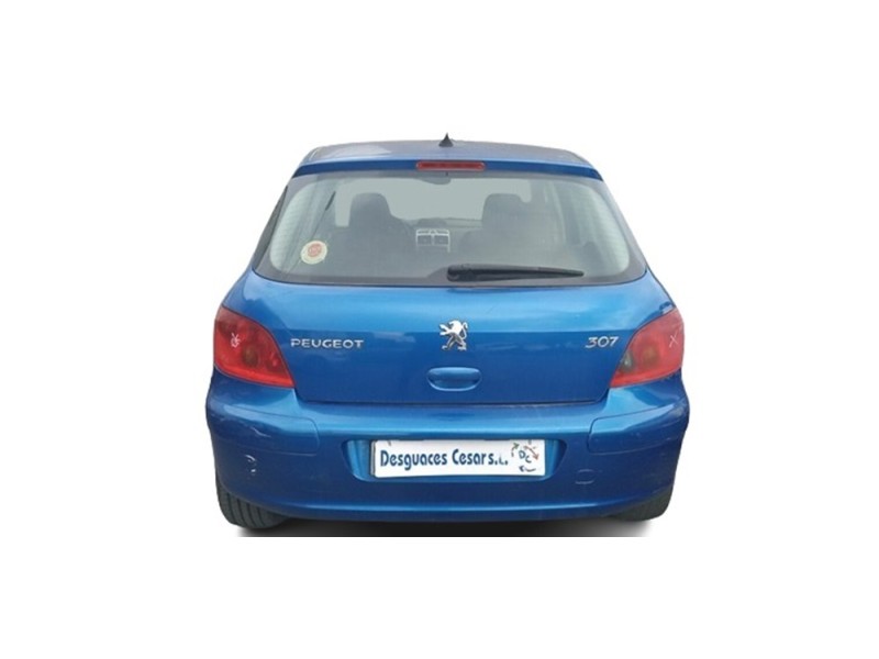 peugeot 307 (s1) del año 2002 peugeot 307 (s1) del año 2002