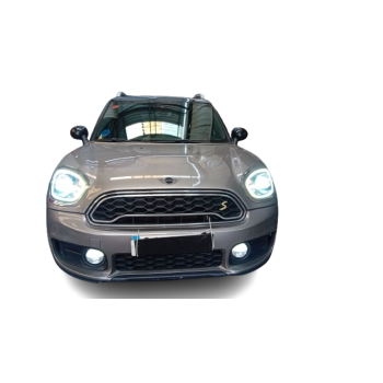 MINI MINI COUNTRYMAN (R60)