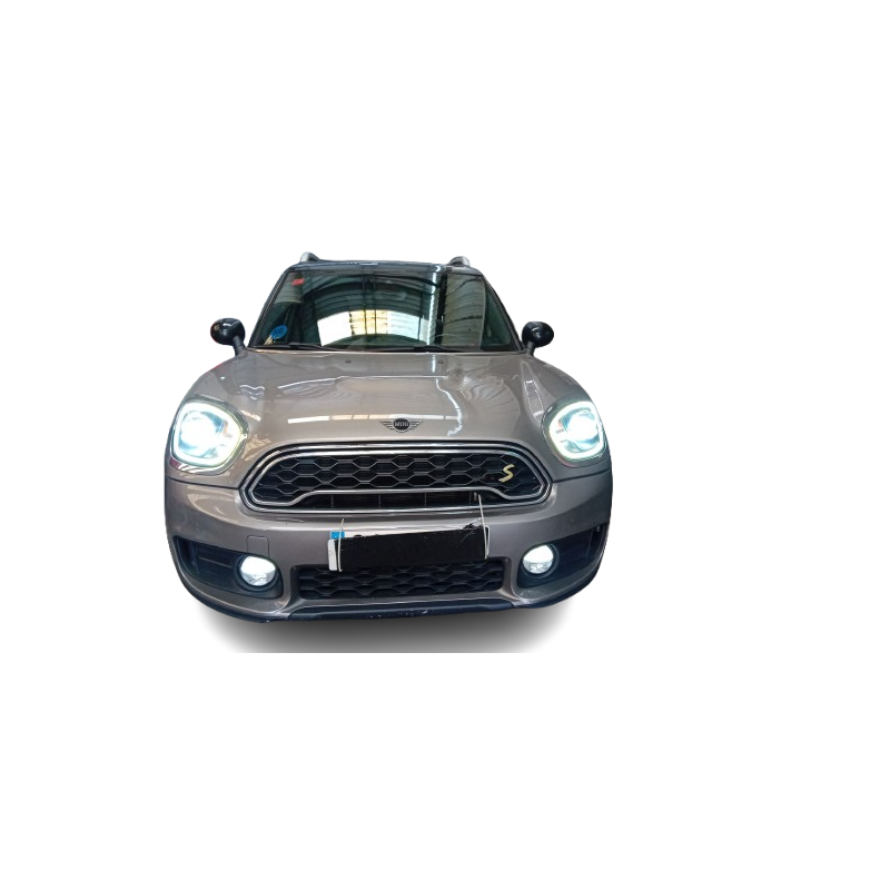 MINI MINI COUNTRYMAN (R60) - imagen 1