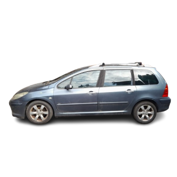 PEUGEOT 307 (3A/C)