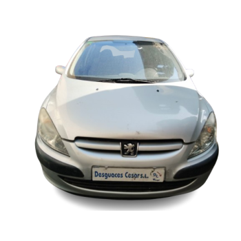PEUGEOT 307 (3A/C)