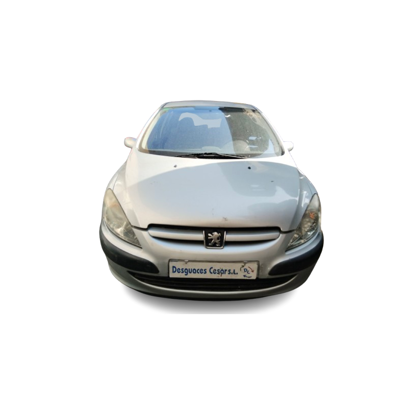 PEUGEOT 307 (3A/C) - imagen 1