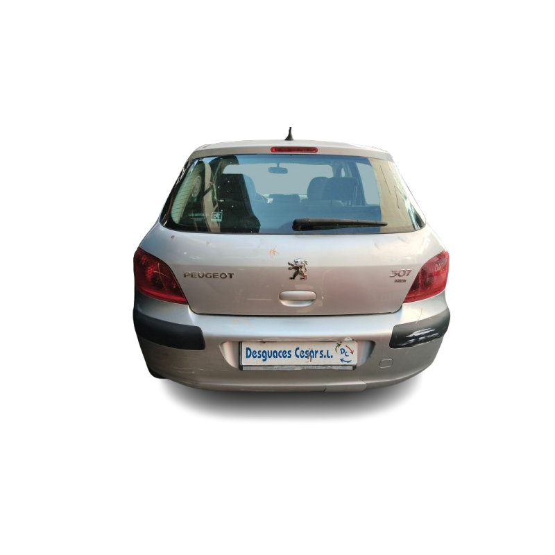 PEUGEOT 307 (3A/C) - imagen 3
