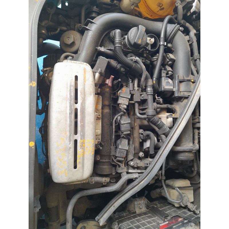 VOLKSWAGEN GOLF V (1K1) - imagen 4