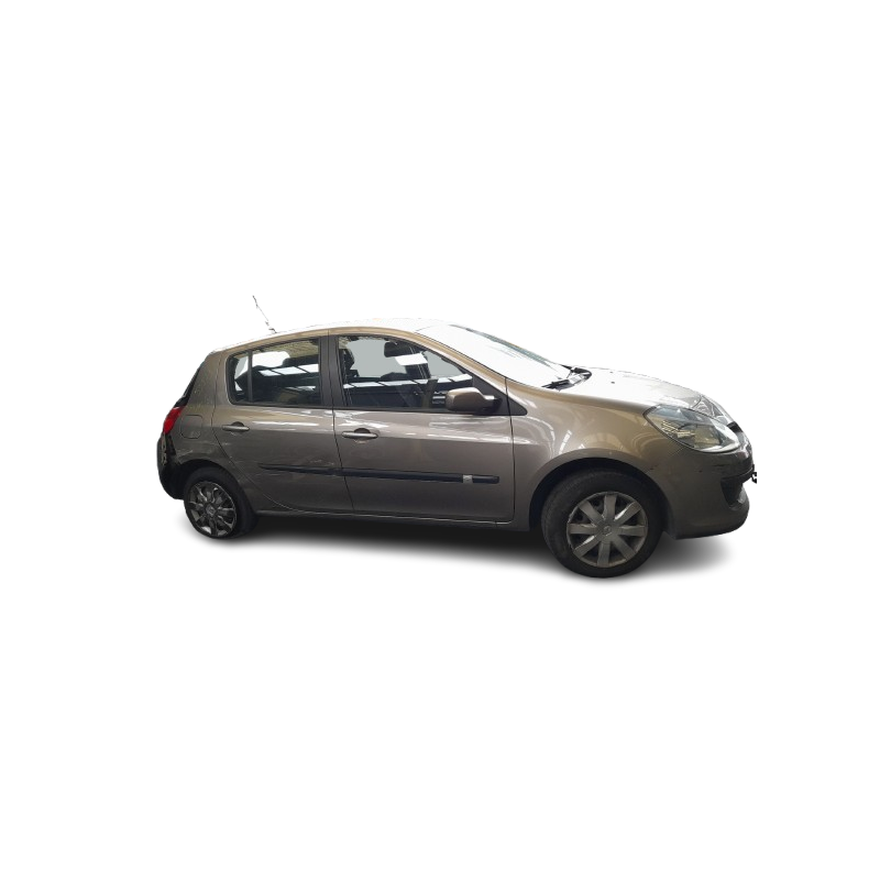RENAULT CLIO III (BR0/1, CR0/1) - imagen 1