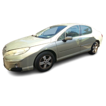 PEUGEOT 407 (6D_)