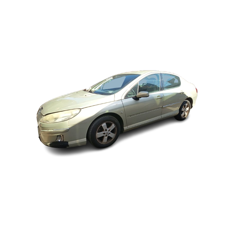 PEUGEOT 407 (6D_) - imagen 1