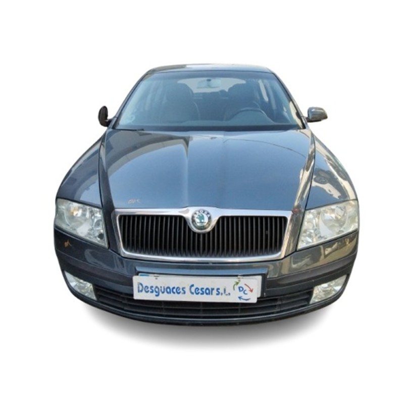 SKODA OCTAVIA II (1Z3) - imagen 1