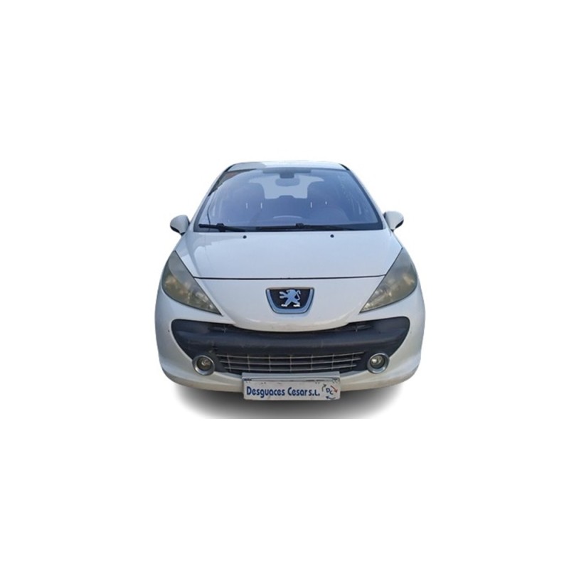 PEUGEOT 207 - imagen 1