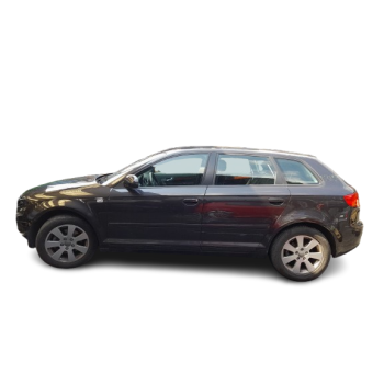 AUDI A3 SPORTBACK (8PA)