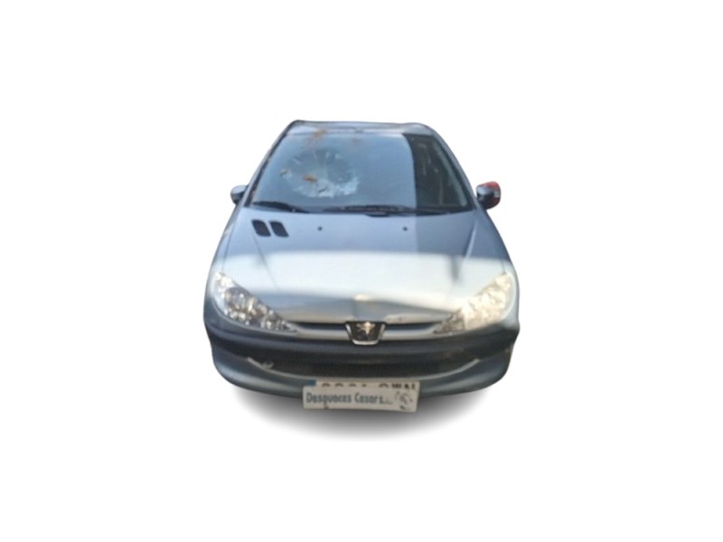 peugeot 206 hatchback (2a/c) del año 2004