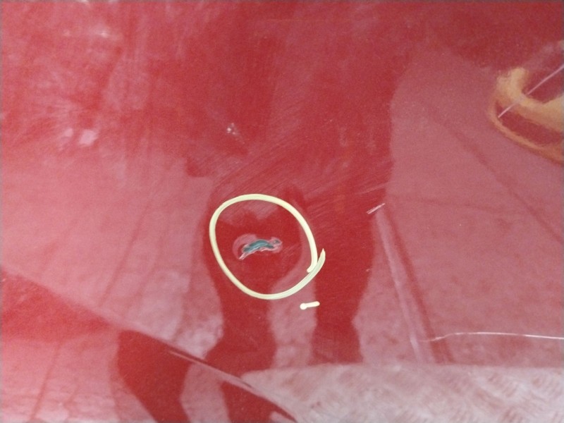 Recambio de puerta trasera derecha para mazda premacy (cp) touring (85kw) referencia OEM IAM  ROJO 