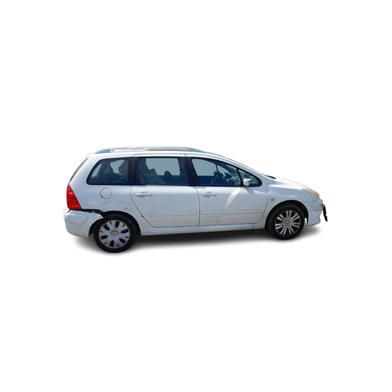 PEUGEOT 307 SW (3H) - imagen 1