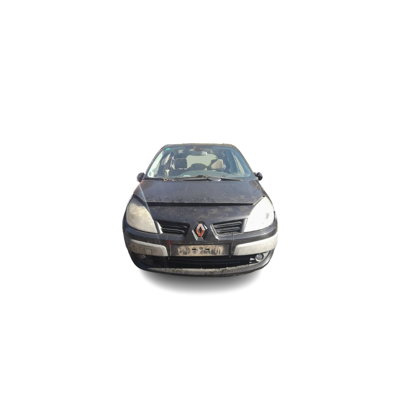 RENAULT GRAND SCÉNIC II (JM0/1_) - imagen 4