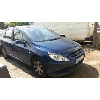 PEUGEOT 307 (S1)