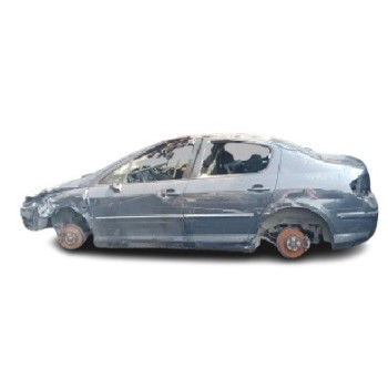 PEUGEOT 407 (6D_)