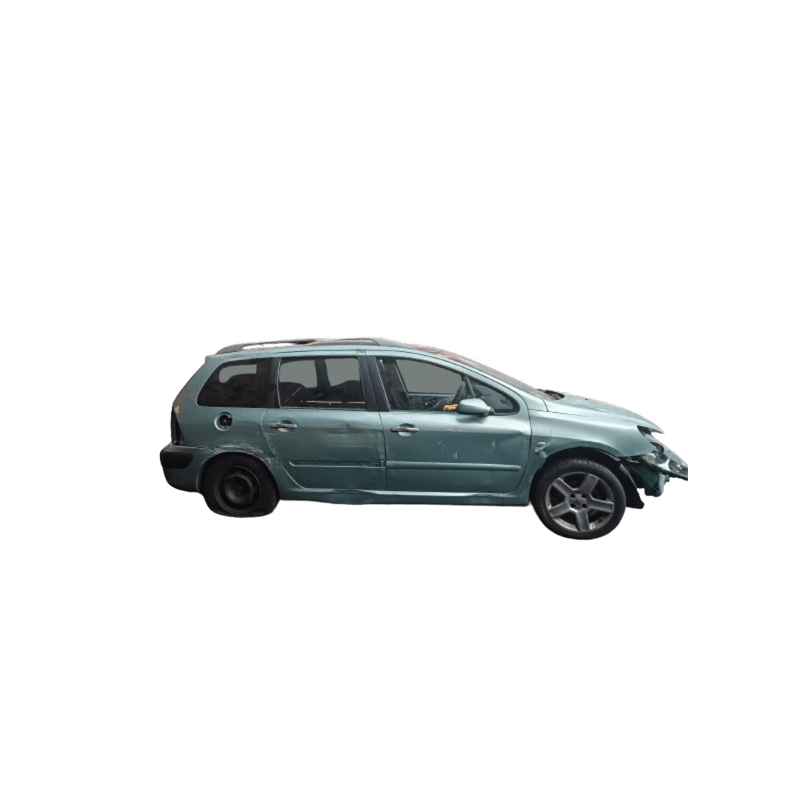 PEUGEOT 307 SW (3H) - imagen 1