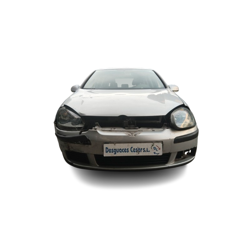 VOLKSWAGEN GOLF V (1K1) - imagen 1