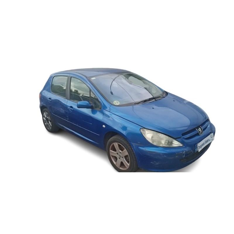PEUGEOT 307 (S1) - imagen 1