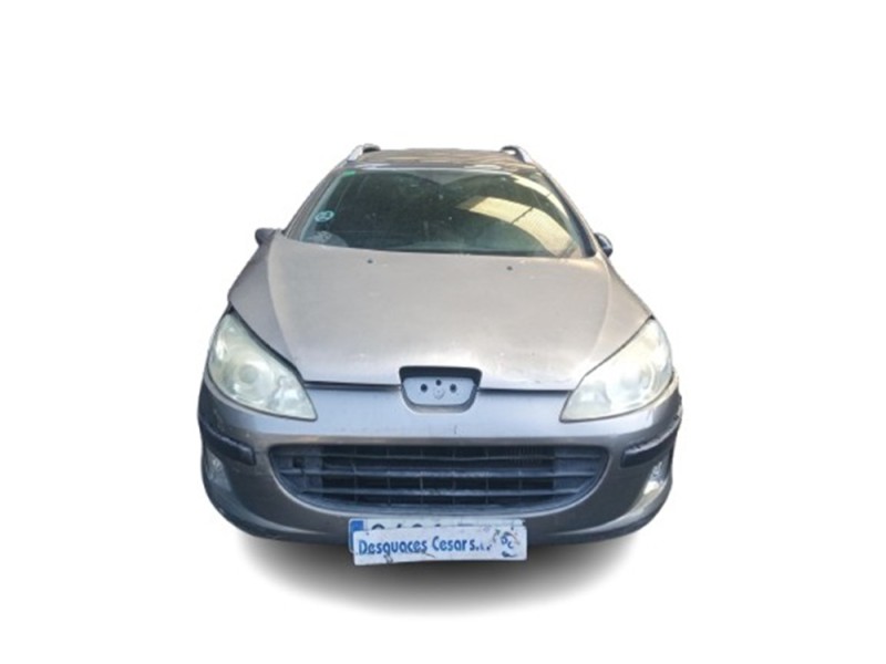 peugeot 407 sw (6e_, 6d_) del año 2006 peugeot 407 sw (6e_, 6d_) del año 2006