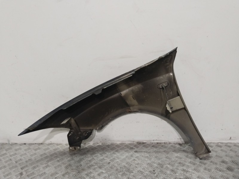 Recambio de aleta delantera derecha para seat toledo iii (5p2) 1.9 tdi referencia OEM IAM 5P0821022A  