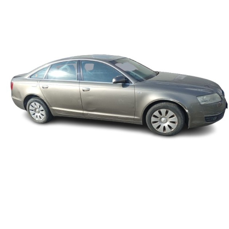 AUDI A6 C6 (4F2) - imagen 1