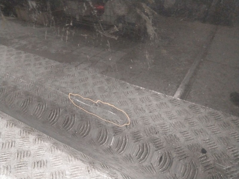 Recambio de puerta delantera izquierda para seat altea (5p1) 1.9 tdi referencia OEM IAM 5P0831055   Recambio de puerta delantera izquierda para seat altea (5p1) 1.9 tdi referencia OEM IAM 5P0831055