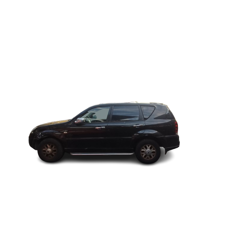SSANGYONG REXTON / REXTON II (GAB_) - imagen 2