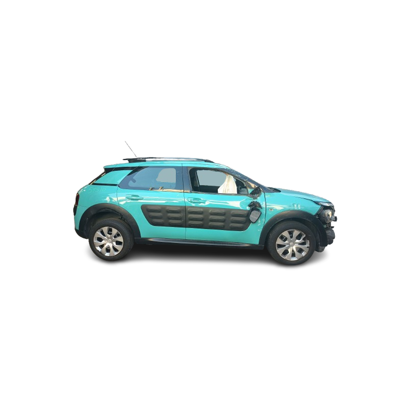 CITROËN C4 CACTUS - imagen 1