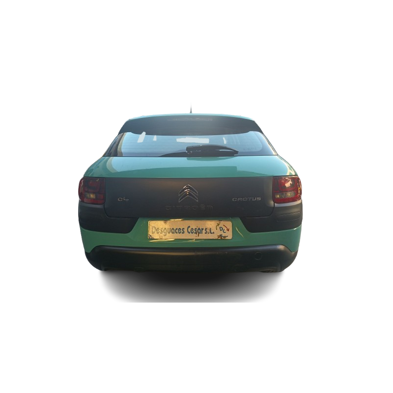 CITROËN C4 CACTUS - imagen 3