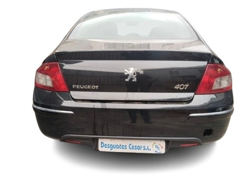 peugeot 407 (6d_) del año 2009