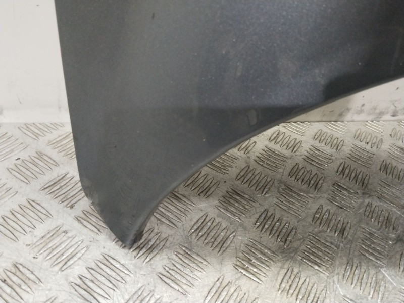 Recambio de capot para peugeot 207 cc (wd_) 1.6 hdi referencia OEM IAM 7901N2  