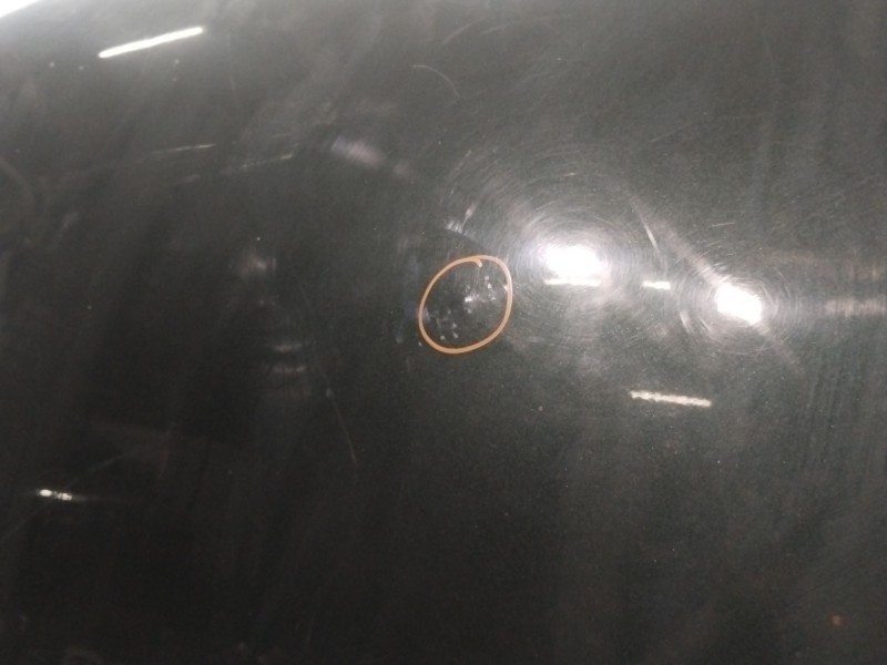 Recambio de capot para land rover range rover (lm) td6 hse referencia OEM IAM BKA760010  