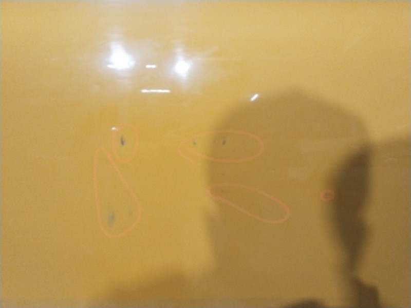 Recambio de puerta delantera derecha para seat toledo iv (kg3) 1.6 tdi referencia OEM IAM   AMARILLO