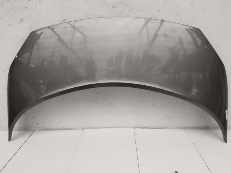 Recambio de capot para renault scenic ii confort authentique referencia OEM IAM  GRIS 