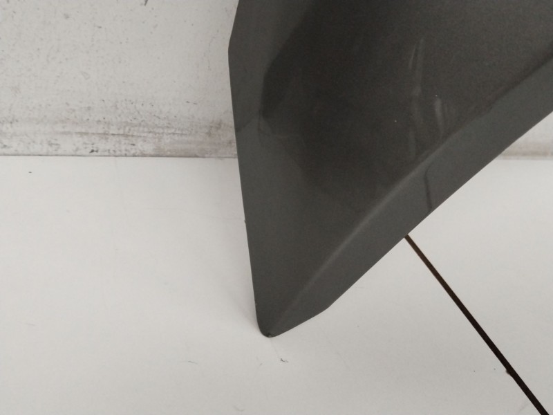 Recambio de capot para renault scenic ii confort authentique referencia OEM IAM  GRIS 