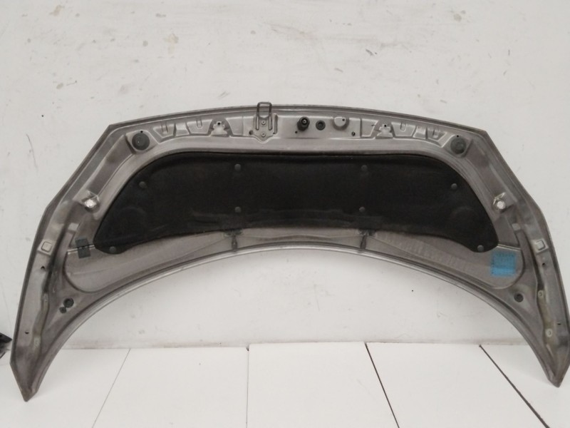 Recambio de capot para renault scenic ii confort authentique referencia OEM IAM  GRIS 