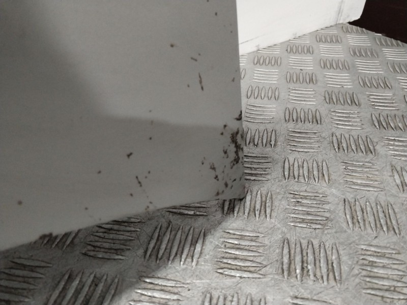 Recambio de capot para ford focus berlina (cap) ghia referencia OEM IAM 1505771  PLATA