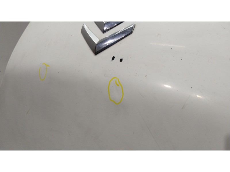 Recambio de capot para citroën nemo furgoneta/monovolumen (aa_) 1.4 hdi referencia OEM IAM 7901Q1  